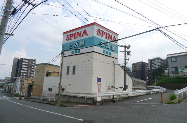 Supermarket. 717m until spinner dormitory red plum store (Super)