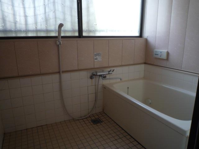 Bathroom. Indoor (10 May 2013) Shooting