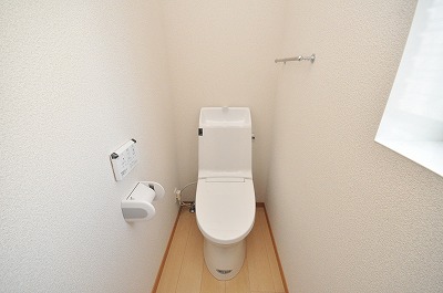 Toilet. Now has even warm water washing toilet seat! 