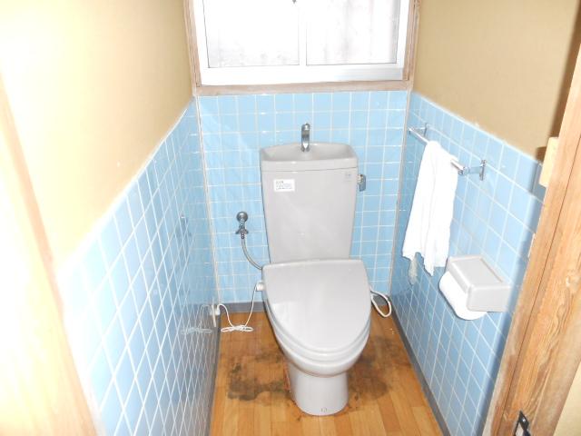 Toilet. Indoor (12 May 2012) shooting
