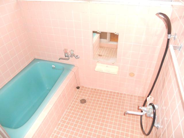 Bathroom. Indoor (12 May 2012) shooting