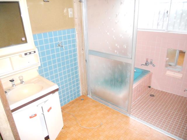 Wash basin, toilet. Indoor (12 May 2012) shooting