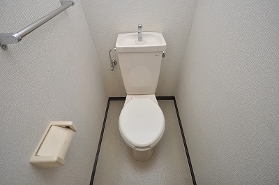 Toilet. Western-style toilet