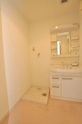Washroom. Shower washbasin & Laundry Area