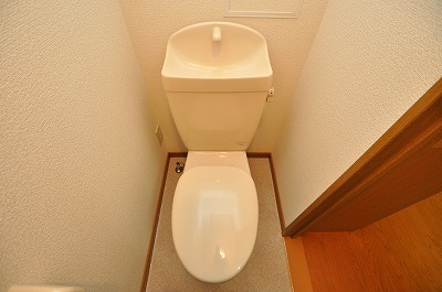 Toilet. Toilet (image)