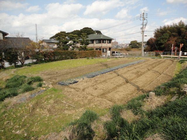 Local land photo. Good per sun! 