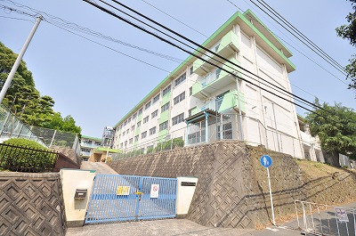 Primary school. 1300m until Jozu Auditor elementary school (school district) (Elementary School)
