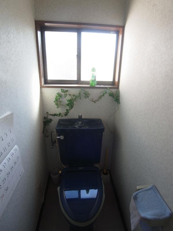 Toilet. Indoor (10 May 2013) Shooting