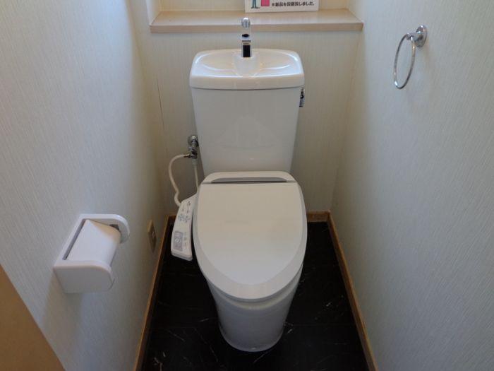 Toilet. Indoor (September 2013) Shooting