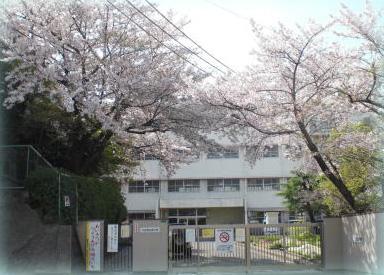 Primary school. 80m until Aoyama elementary school
