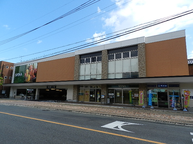 Supermarket. 279m until spinner Anasei central store (Super)