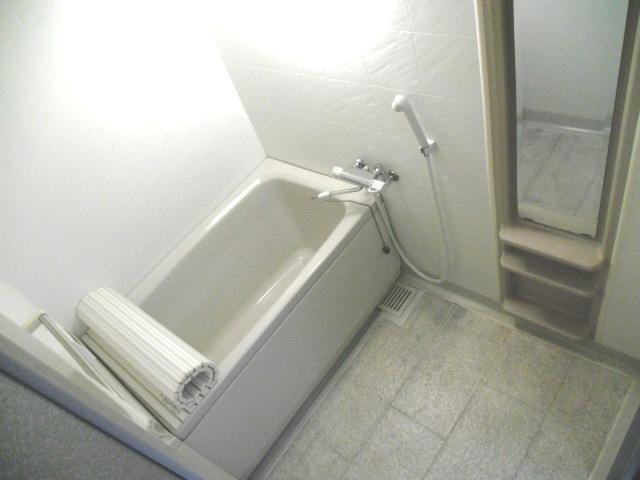 Bathroom. Indoor (September 2012) shooting