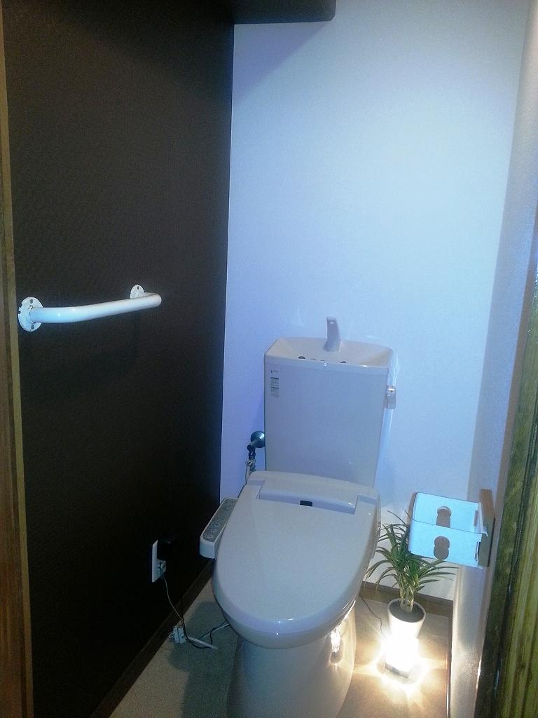 Toilet. Indoor (08 May 2013) Shooting