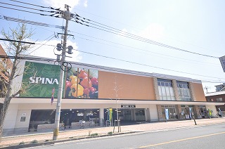 Supermarket. 300m until spinner Anasei central store (Super)