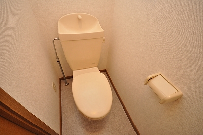 Toilet. Interior photo isomorphic inverted image. Current state priority. 
