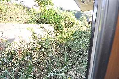 Balcony. Balcony private garden