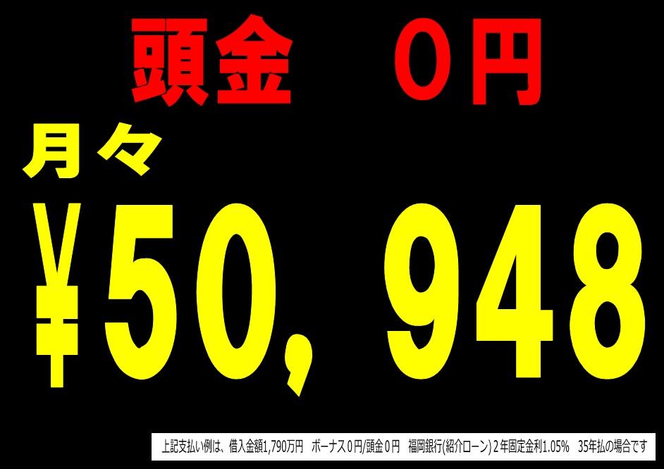 Other. Payment example (17.9 million yen)