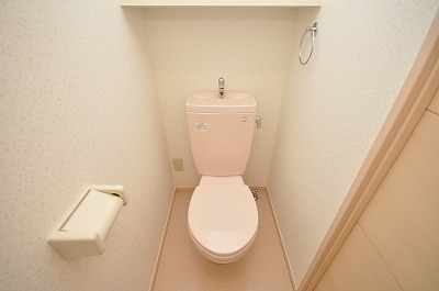 Toilet. Toilet