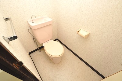 Toilet. Basic Western-style toilet