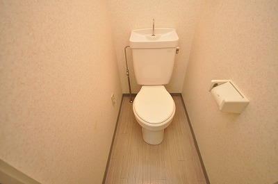 Toilet. I'm glad a western style