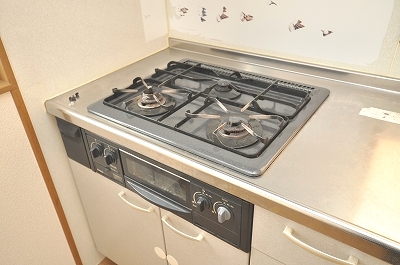 Other Equipment. System kitchen with a gas stove ☆ 