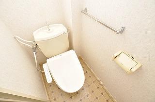 Toilet. It is with warm water washing toilet seat.