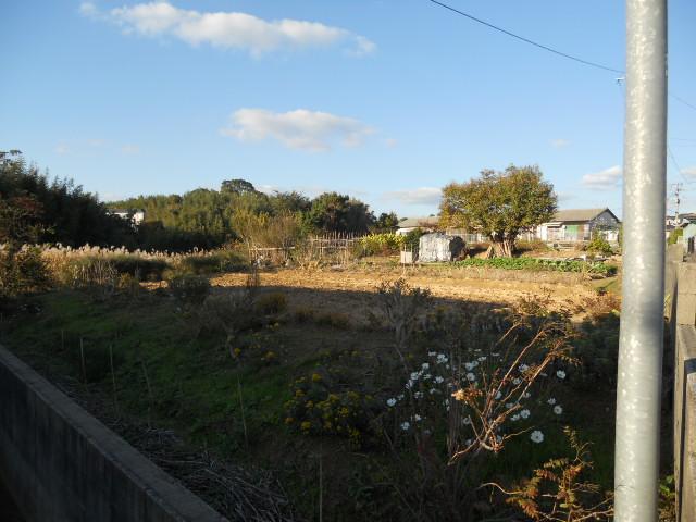 Local land photo