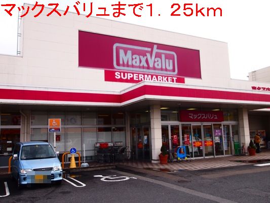 Supermarket. Maxvalu until the (super) 1250m