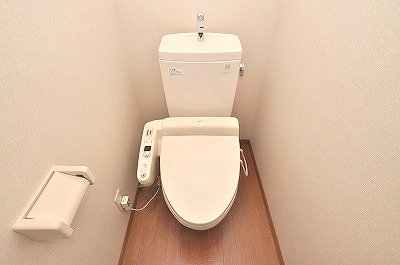 Toilet. Warm water washing toilet seat