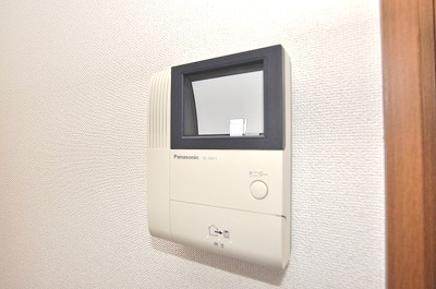 Security. Monitor with intercom