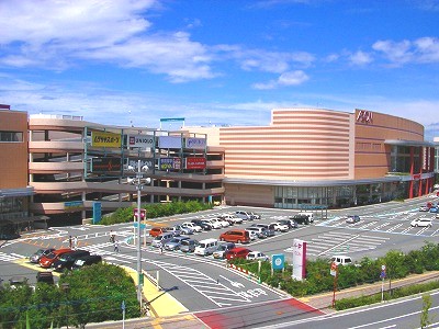 Shopping centre. Aeon Mall 3600m until rectangular store (shopping center)