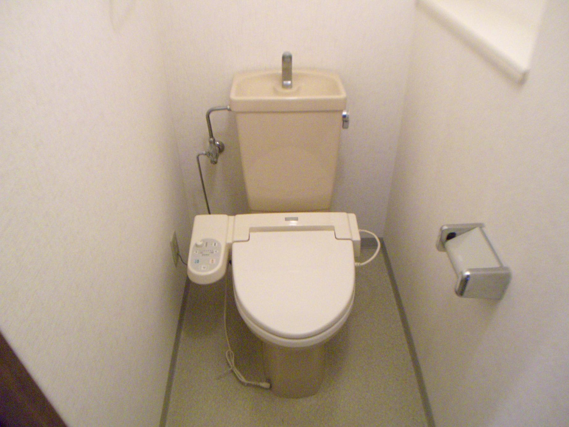 Toilet