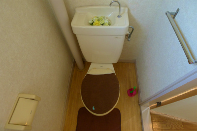 Toilet