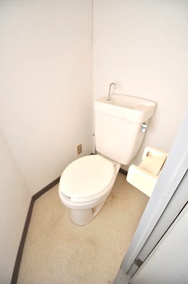 Toilet. Western-style toilet