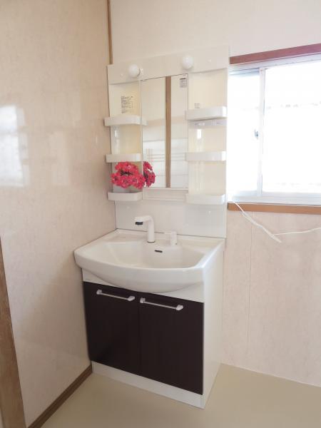 Wash basin, toilet. Vanity with new shower