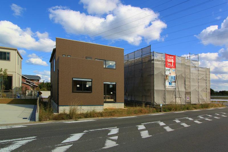 Local photos, including front road. 2013 November 26, shooting