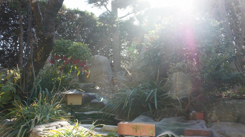 Garden. Would you like what you in a bright garden?