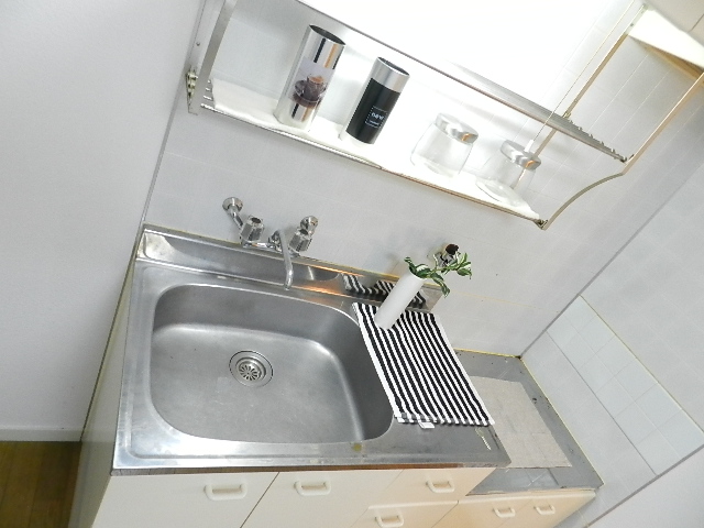 Other. Sink