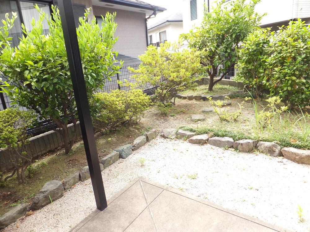Garden. Local (June 2013) Shooting