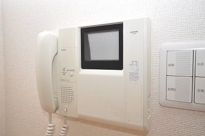 Security. Monitor with intercom