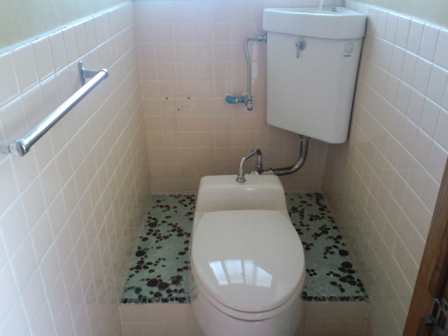 Toilet. Japanese-style → is a Western-style flush toilet.