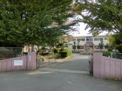 Primary school. Ono 2400m up to elementary school (elementary school)