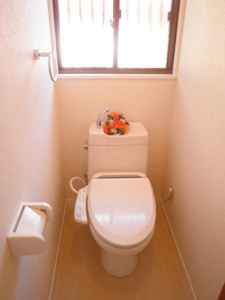 Toilet. Winter warmth. New hot water cleaning toilet