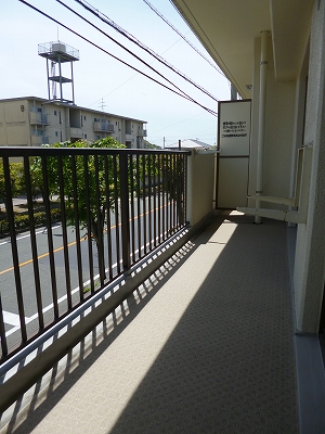 Balcony. Veranda