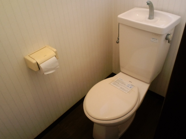 Toilet. It is a flush toilet.