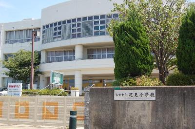 Primary school. 150m to Hanami elementary school (elementary school)