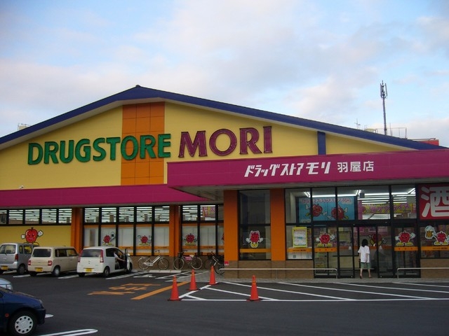 Dorakkusutoa. Doramori 430m until (drugstore)