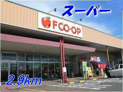 Supermarket. FCO ・ 2900m to the OP (super)