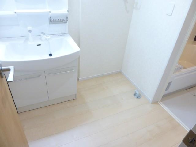 Wash basin, toilet. Wash dressing room
