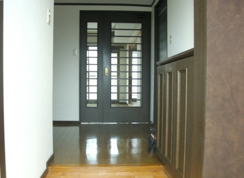 Entrance. Entrance hallway